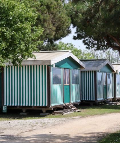 Grüne Mobilheime auf einem schattigen Campingplatz.