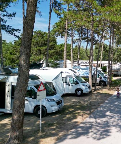 Camping met campers en bungalows tussen bomen, mensen fietsen.